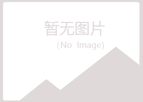 安丘字迹艺术有限公司